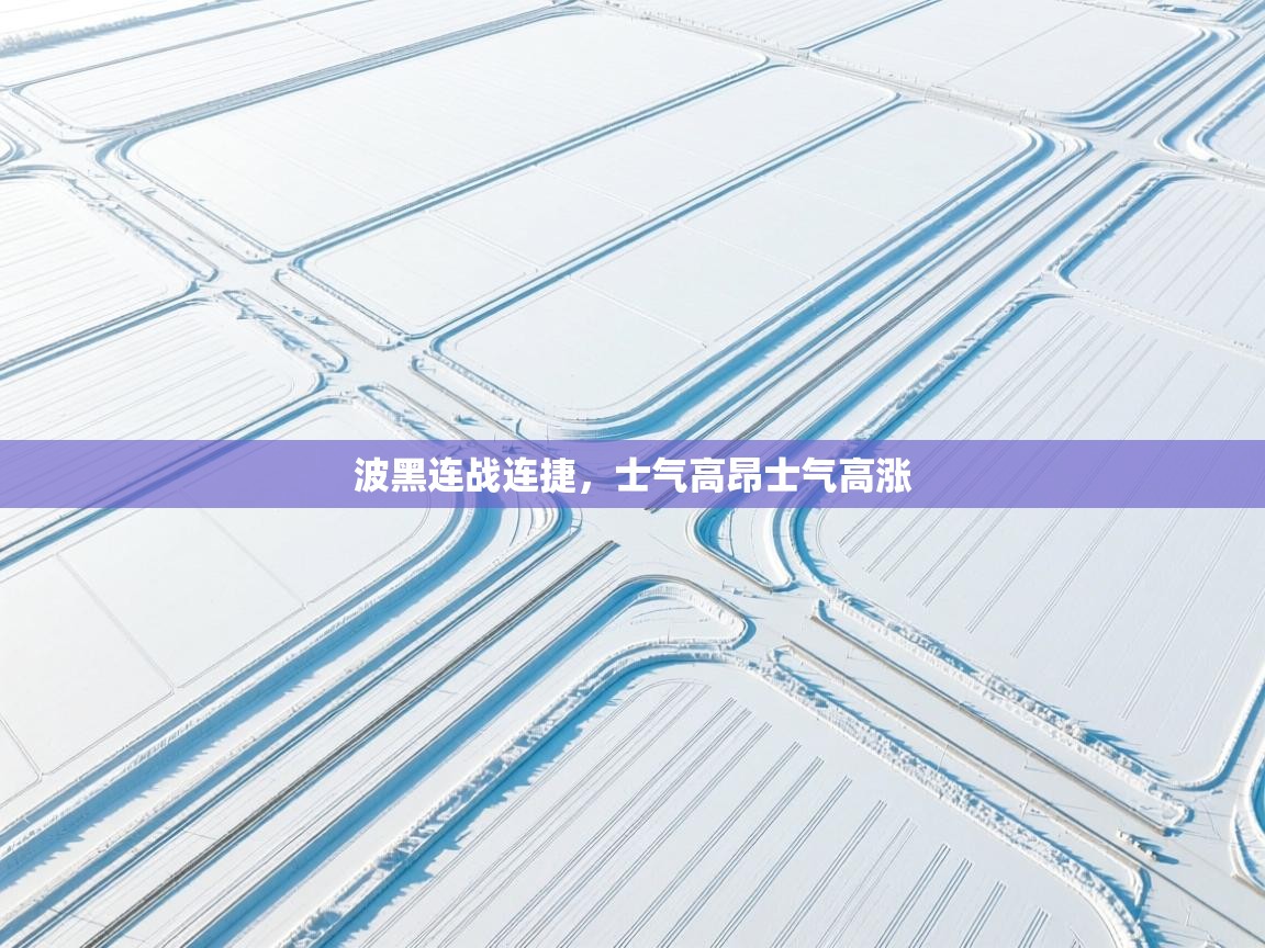 波黑连战连捷，士气高昂士气高涨  第2张